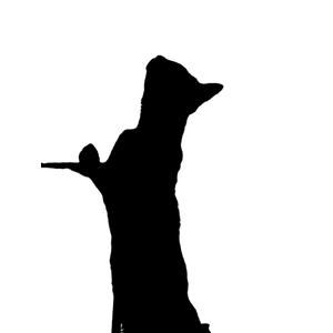 Artistic Silhouette Of A Standing Cat Against An Outdoor Background, Showcasing The Feline'S Elegant Form. 16949 - Cat PNG image with transparent background